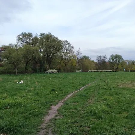 Appartement Aura Grand *